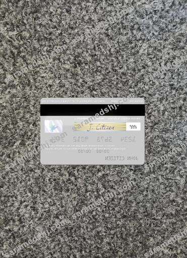 Afghanistan Azizi Bank visa card photolook back